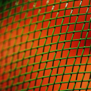 grid, fly screen, hood, fruit cap, web, green, protection